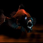 Piranha 3D : des images du tournage