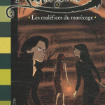 Les dragons de Nalsara tome 11