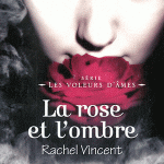 Les voleurs d'âmes Tome IV