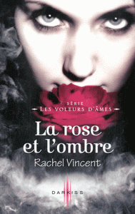 Les voleurs d'âmes Tome IV