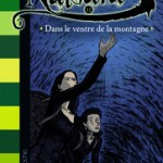 Cham revient demain : les dragons de Nalsara Tome XII