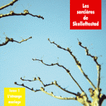 Les sorcières de Skelleftestad Tome 1